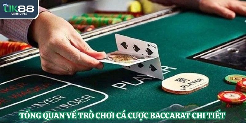 Tổng quan về trò chơi cá cược baccarat chi tiết 