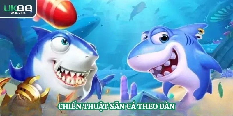 Chiến thuật săn cá theo đàn