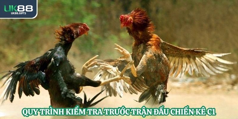 Quy trình kiểm tra trước trận đấu chiến kê C1