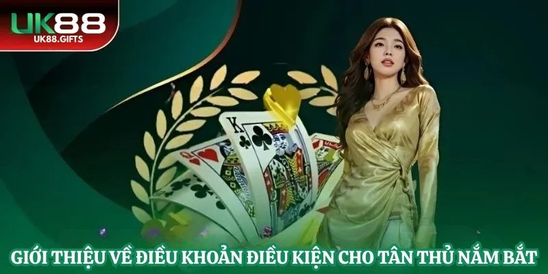 Giới thiệu về điều khoản điều kiện cho tân thủ nắm bắt