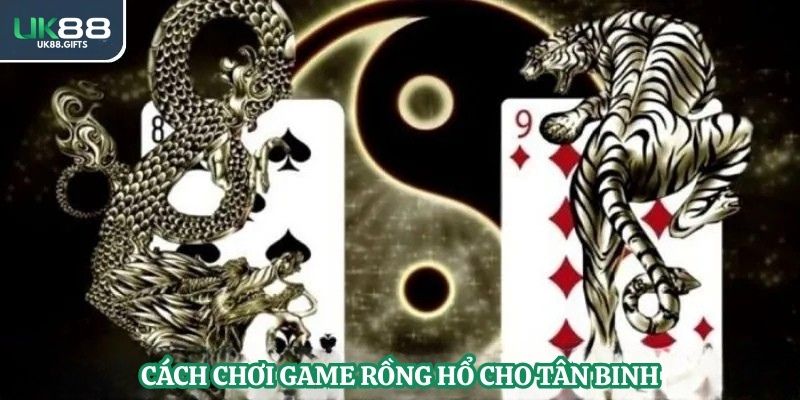 Cách chơi game rồng hổ cho tân binh