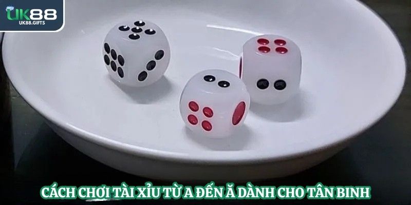 Cách chơi tài xỉu từ A đến Ă dành cho tân binh